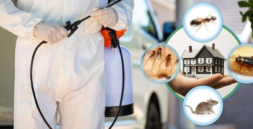 Gürpınar Böcek İlaçlama