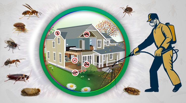 Gürpınar Böcek İlaçlama