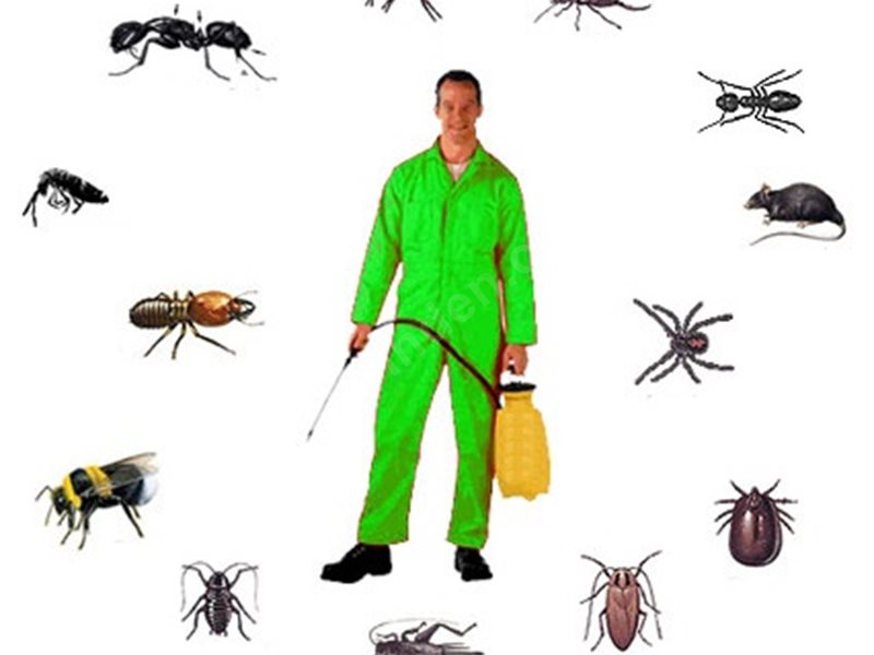 Gürpınar Böcek İlaçlama